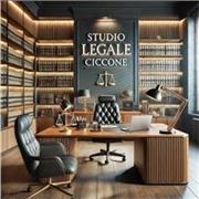 Avvocato abilitato all'esercizio della professione forense offre lezioni in diritto